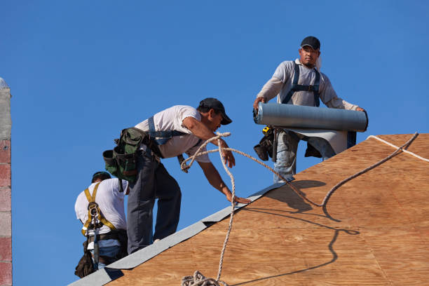 Best Roof Leak Repair  in Burney, CA
